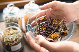 Medicament pe bază de plante