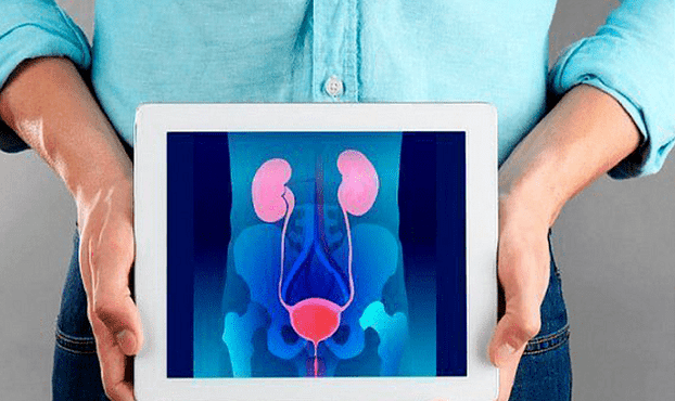 prostatita - inflamația glandei pediatrice
