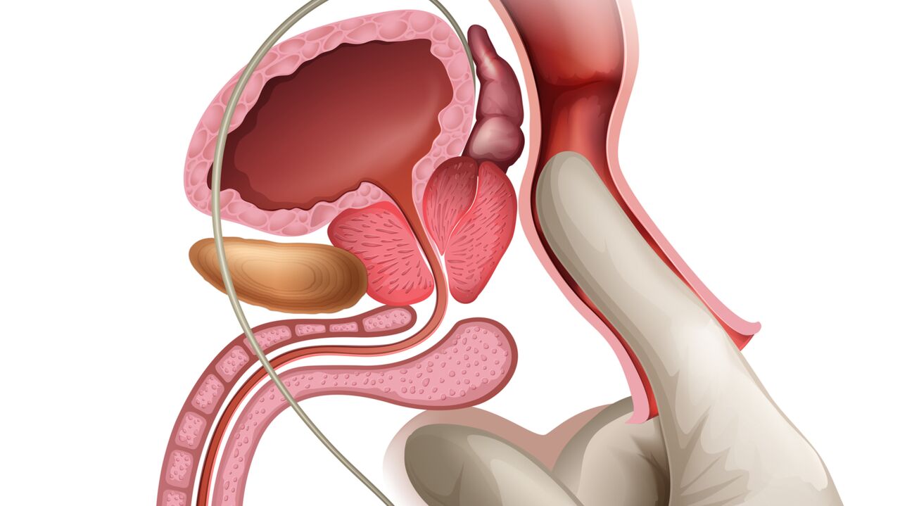 Masajul prostatei este o modalitate eficientă de a trata prostatita congestivă